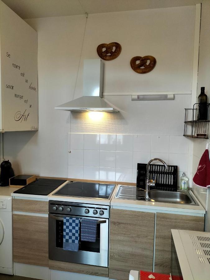 Coeur D'Elsass "Rapp"Appartement Avec Parking Colmar Ngoại thất bức ảnh